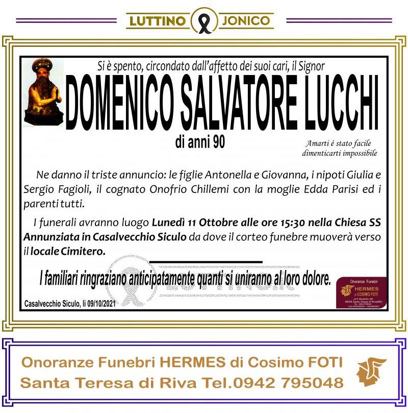 Domenico Salvatore  Lucchi 
